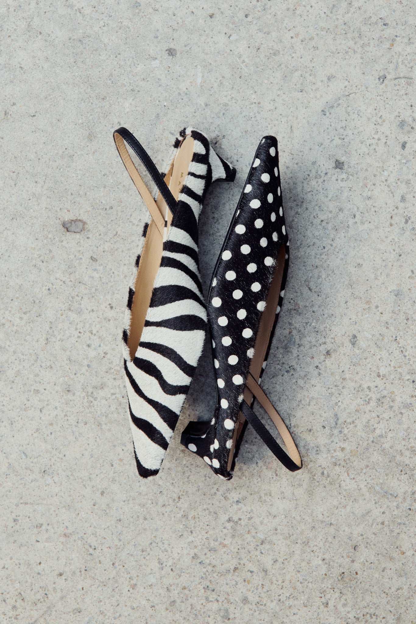 Floresta Zebra Dot Pony Hair Mule | Maguire Shoes