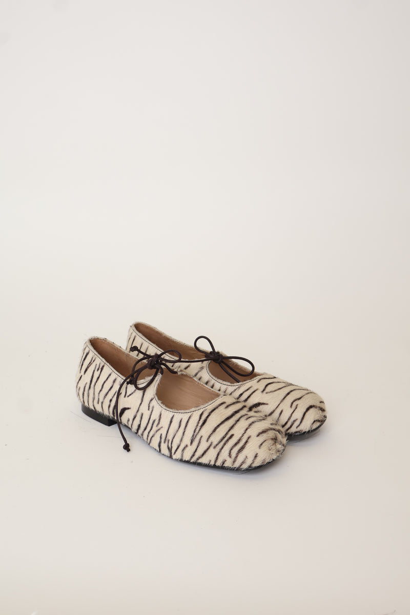Sample Gaia Zebra 38